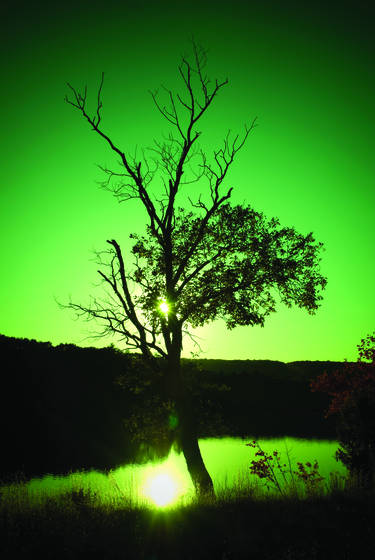 Vivid_02_2
