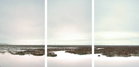 Baylands