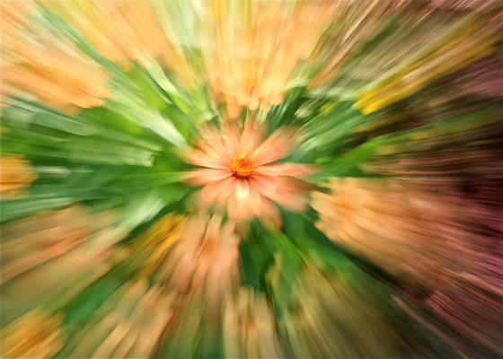 Burst