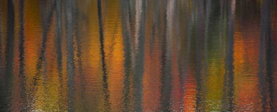 Autumn_reflections