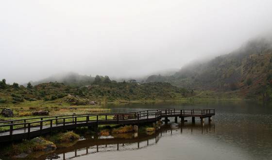 The_long_dock_2