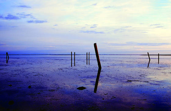 Pilings_at_sunrise