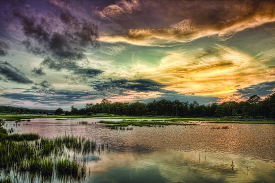 Vereen_gardens