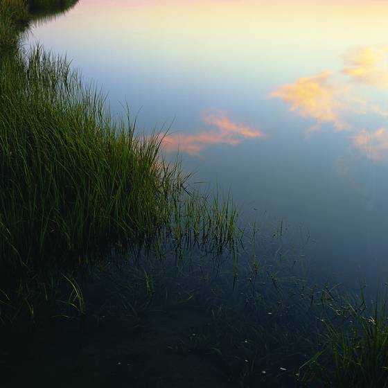 Nauset_marsh_sunrise