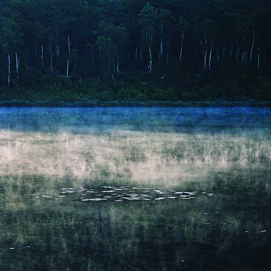The_tarn