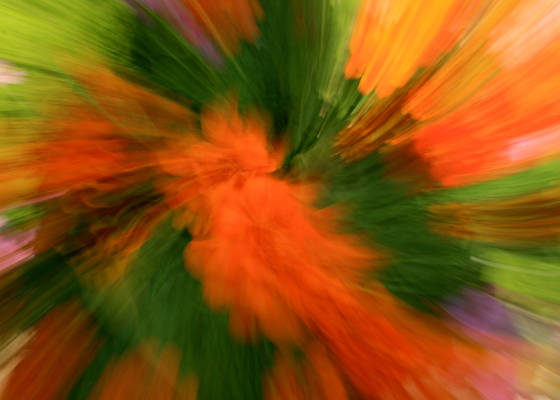 Less_flippin__more_floral