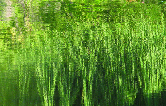 A_water_picture