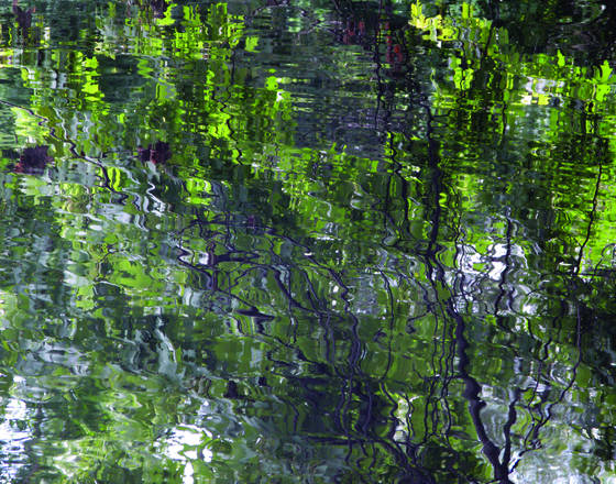 The_pond_in_afternoon