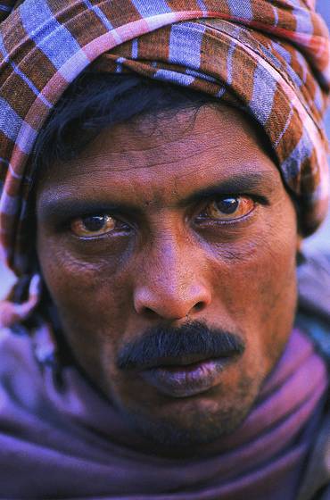 Camel_driver