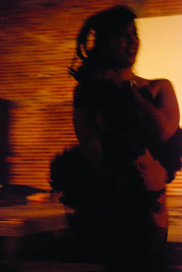 Burlesque_3