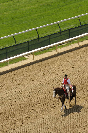 Outrider