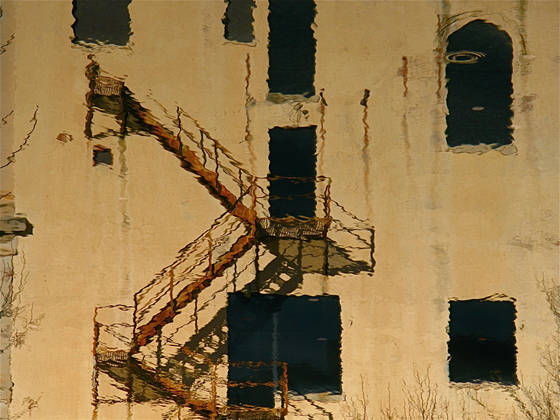 Reflection_10