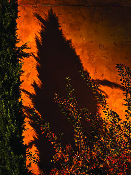 Wine_trail_22_-_umbra