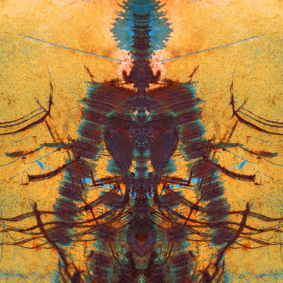 Alien_anatomy
