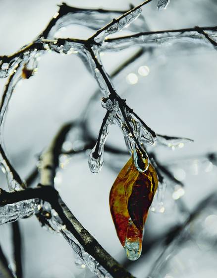 Chill_in_the_air