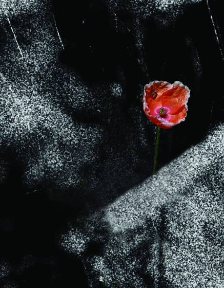 Life_goes_on
