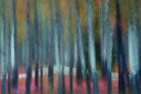 Aspen_motion