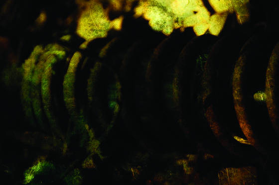 Junkyard_-_coil