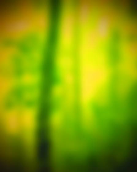 Impression