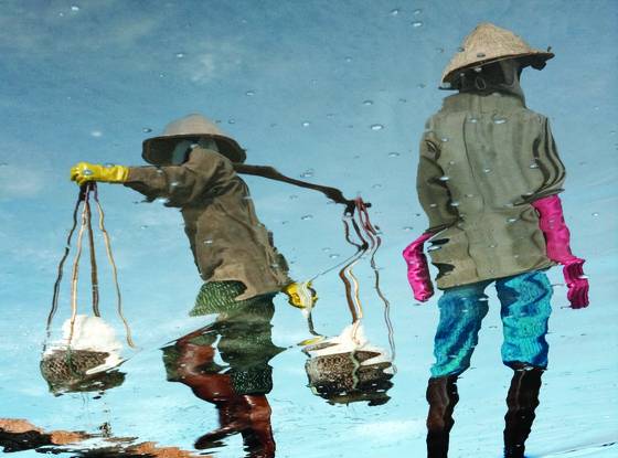 Salt_farmer