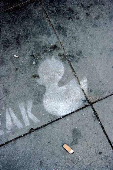 Street_duck
