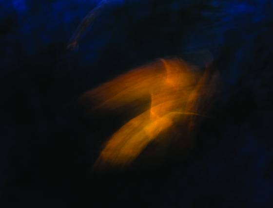 Leaf_abstraction_no__2