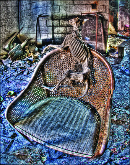 Get_off_the_chair_