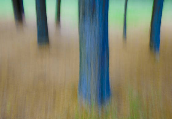 Untitled_9