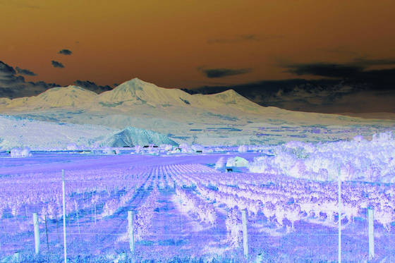 Colorado_wine_country