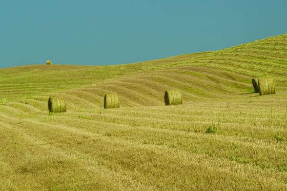 Hay_bales