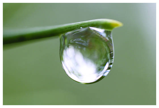 Raindrop_i