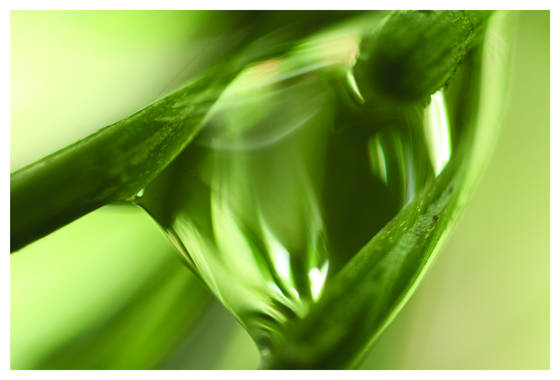 Raindrop_iv