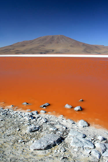Laguna_colorado