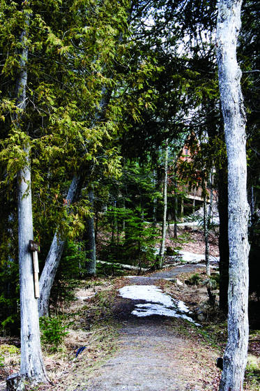Your_path