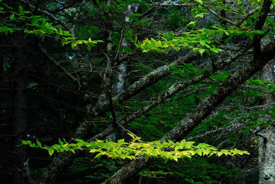 Untitled_5