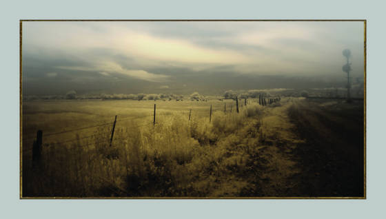 Along_the_tracks