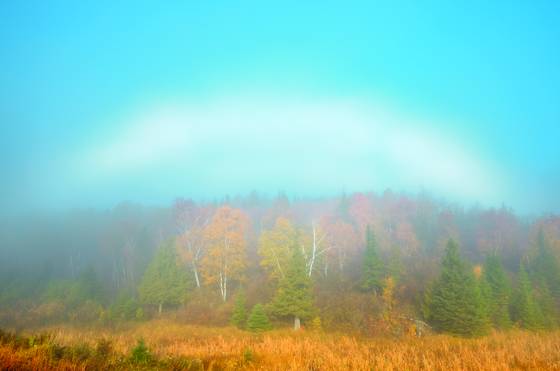 Fogbow