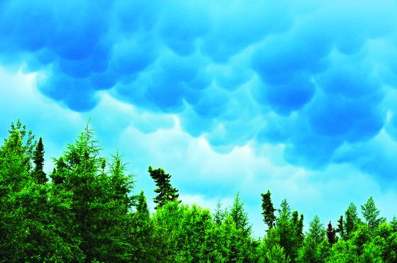 Mammatus_clouds
