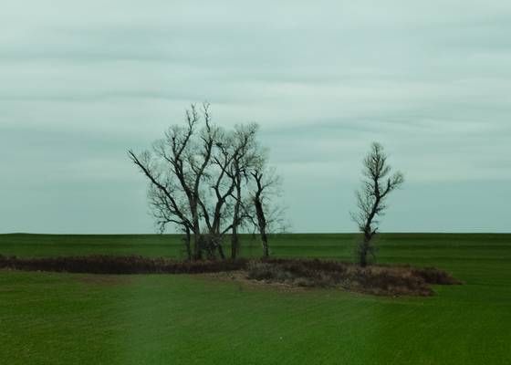 Untitled_1