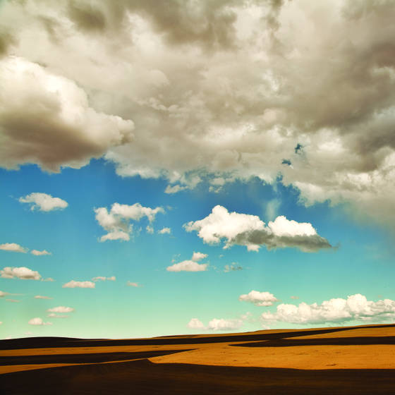 Autumn_field