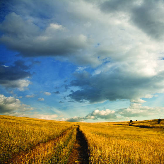 Trail_at_the_homestead