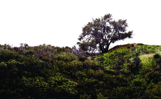 Untitled_1