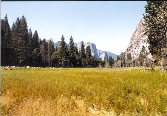 The_valley