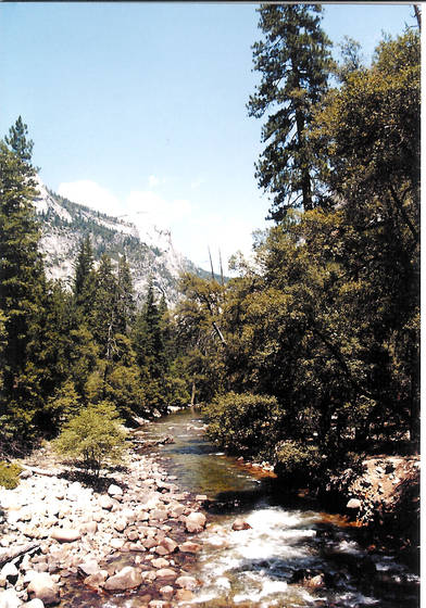 Yosemite_9