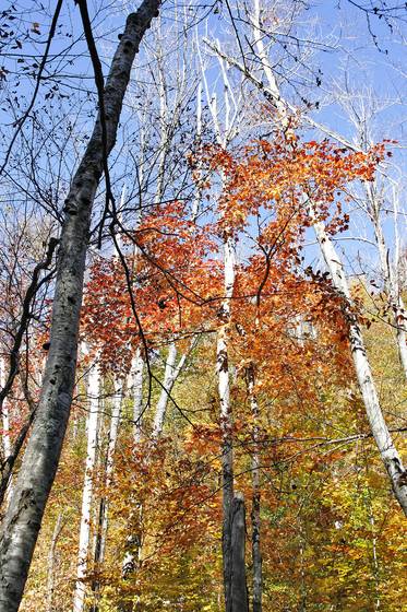 An_autumn_journey_02
