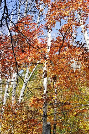 An_autumn_journey_03