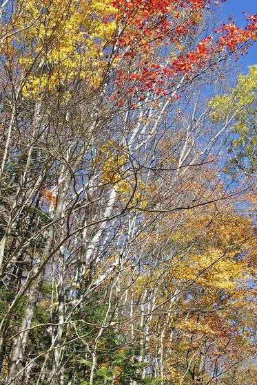 An_autumn_journey_04