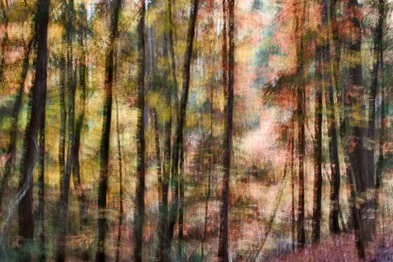 Autumn_rhythm_1