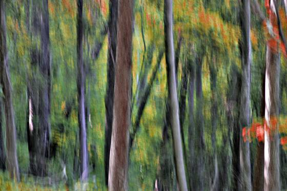 Autumn_rhythm_3