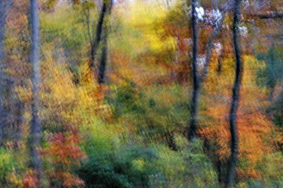 Autumn_rhythm_5